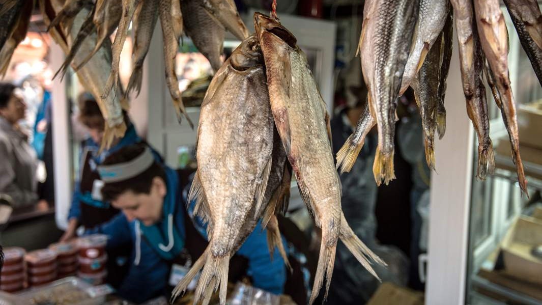 Популяция воблы в Волге оказалась под угрозой исчезновения