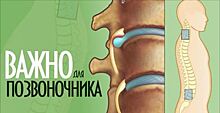 Узкий специалист: «Лечение межпозвоночной грыжи без лекарств, без операции! Нужно лишь упорно…»