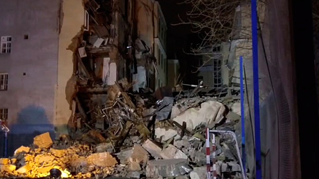 Поисковые собаки нашли хомячков в развалинах упавшего в Петербурге дома