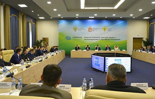 Пермь станет вторым регионом России, использующим лесную биржу