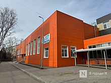 Нижегородские власти начнут расследование после поножовщины в школе №117