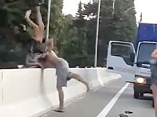 Реслинг по-сочински: водители устроили жестокую драку на дороге