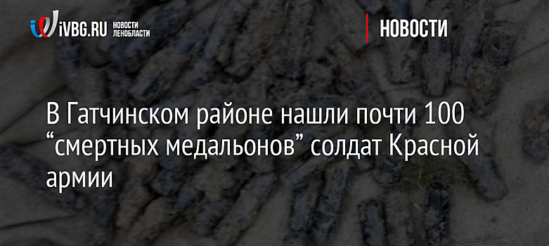 В Гатчинском районе нашли почти 100 “смертных медальонов” солдат Красной армии