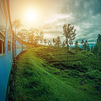 Украинцы в «биопузырях» наводнили Шри-Ланку