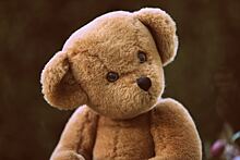 Плюшевый медведь: история любимой игрушки детства
