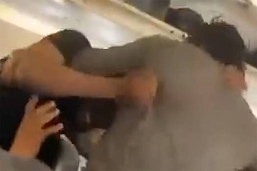 Блогер и комик устроили драку на борту самолета и попали на видео