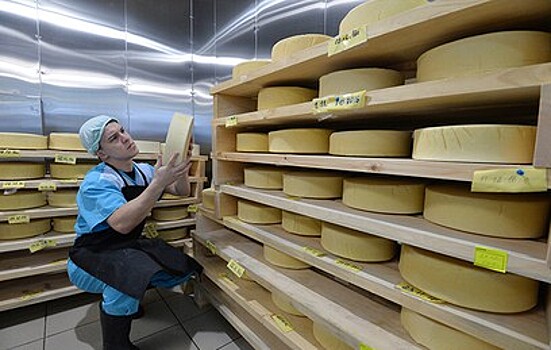 За два года число небольших сыроварен в России выросло в 15 раз