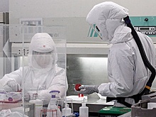 «Синдром коронавируса»: раскрыты долгоиграющие последствия COVID-19