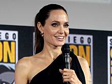 Питт рассказал, почему Джоли затягивает судебный процесс