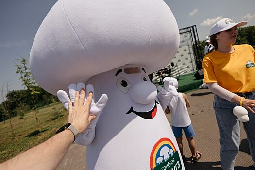 «Грибная Радуга» не уходит из Курской области