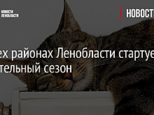 Во всех районах Ленобласти стартует отопительный сезон