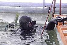 Водолазы в Хабаровском крае проверили навыки спасения и подводной работы