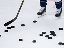 Москва построит сама