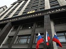 В Госдуме предложили лишать мандатов за поездки за рубеж