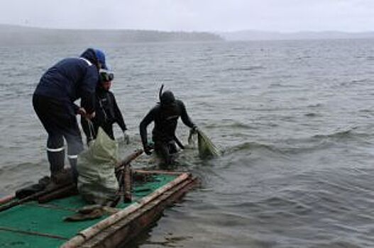 10 мешков мусора собрали дайверы на дне озера Тургояк