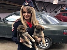 В Новой Москве полицейские спасли от верной гибели щенков
