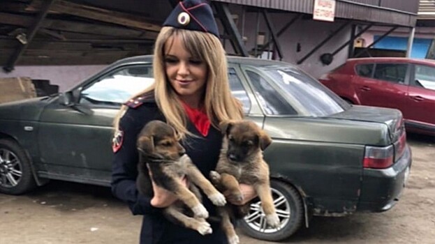 В Новой Москве полицейские спасли от верной гибели щенков