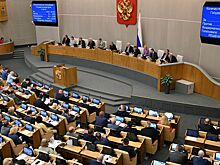 Депутаты Госдумы впервые вступились за однопартийца-иноагента