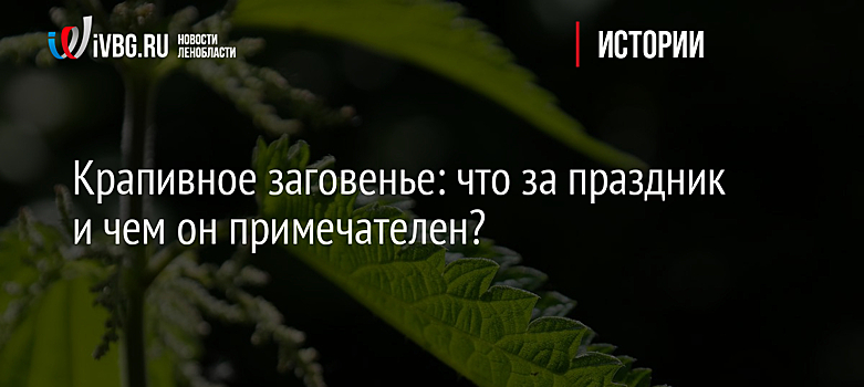 Крапивное заговенье: что за праздник и чем он примечателен?