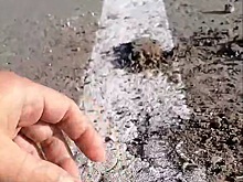 Недобросовестный подрядчик нанес дорожную разметку поверх высохшей грязи в Аксайском районе