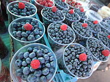 Ягодка кусается. Любителям ежевики и черники придется раскошелиться