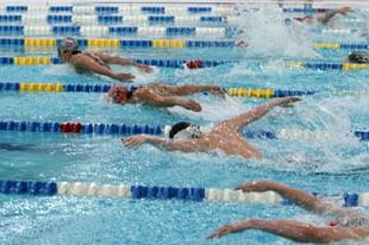 22 медали. Краевые спортсмены выступили на чемпионате России по плаванию