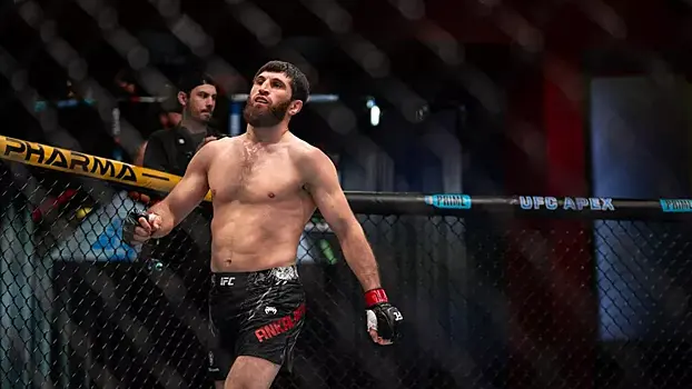 Друг Макгрегора оскорбил российского бойца UFC Анкалаева