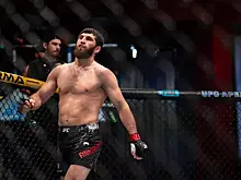 Друг Макгрегора оскорбил российского бойца UFC Анкалаева