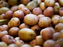 Торговым сетям указали на выгоды от продажи картофеля малого размера