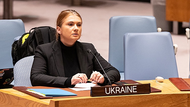 Полянский: постпред Украины «прикрылся» девушкой, чтобы «соскочить» с темы Ил-76