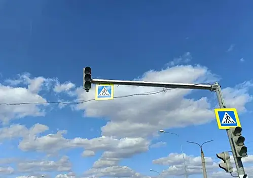 Светофор или регулировщик: автомобилист из-за ошибки получил штраф