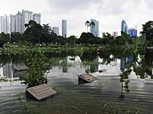 Уровень воды в прибрежных регионах растет в 4 раза быстрее, чем считалось