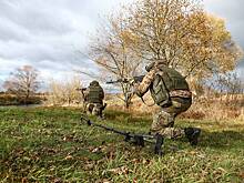 Стало известно о страхе ВСУ перед боями в лесах Сумской области