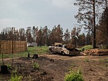 Павел Крашенинников рассказал о поддержке людей предпенсионного возраста