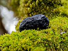 Следы древней космической катастрофы нашли в музее