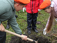 В Новосибирской области заложили аллею в честь спасателей МЧС