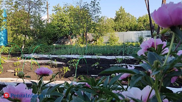 Прокурор области поручил контролировать перерасчет за неоказанные услуги ЖКХ