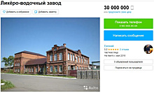 Под Челябинском продается запущенный пенсионерками водочный завод