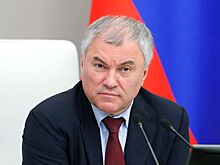 Володин: Украинские власти ведут страну к полному исчезновению