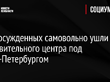 Трое осужденных самовольно ушли из исправительного центра под Санкт-Петербургом