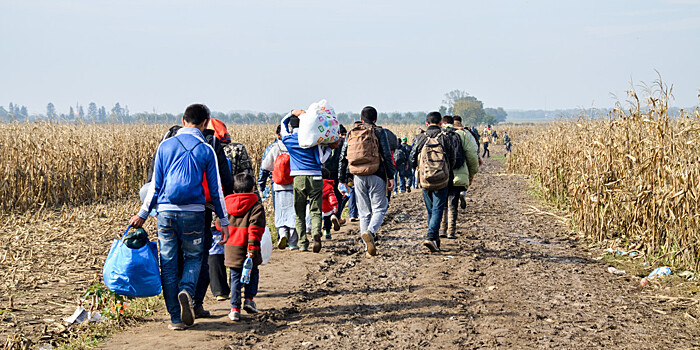Гостеприимство по-европейски: власти Литвы принудительно депортируют беженцев в Беларусь