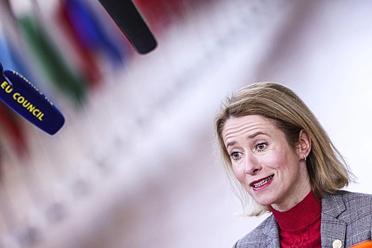 Депутат ГД Шеремет: Каллас напоминает кобру, сбежавшую из мешка факира