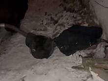 В Подмосковье задержали троих мужчин за кражу авиационного топлива