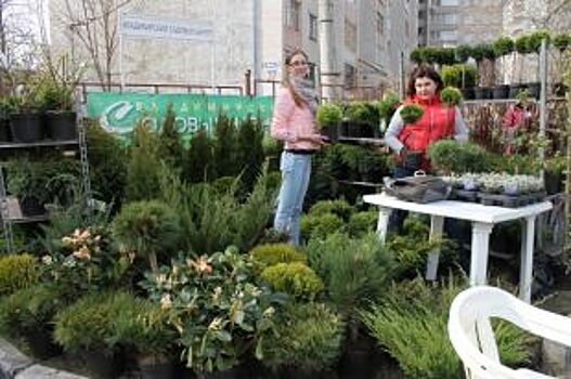 Во Владимирском экспоцентре проходит выставка «Зеленая неделя»