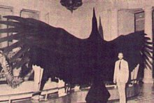 Аргентавис: самая большая птица в истории Земли