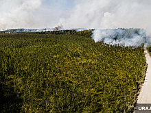 Эколог Каюмов: власти применяют превентивные штрафы при лесных пожарах