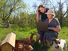 Эксперт рассказал, как подключить интернет на даче