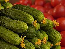 «Известия»: ФАС проверит резкое подорожание огурцов в России