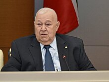Роберт Гилязиев: "Полагаю, что несколько месяцев повышения розничных цен на топливо не будет"