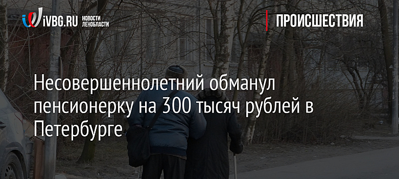 Несовершеннолетний обманул пенсионерку на 300 тысяч рублей в Петербурге